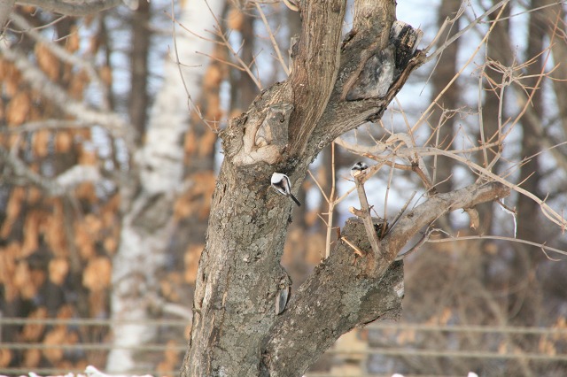 ファイル 134-1.jpg