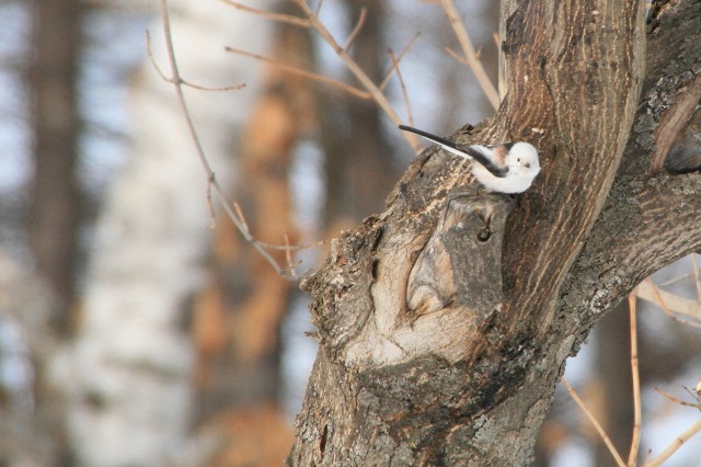 ファイル 134-2.jpg