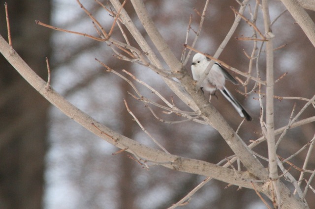 ファイル 134-3.jpg