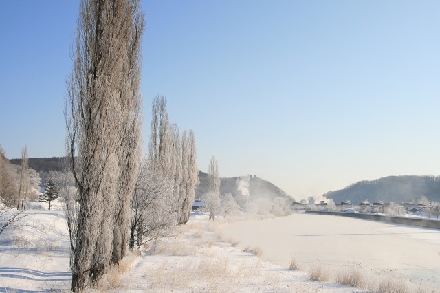 ファイル 135-1.jpg