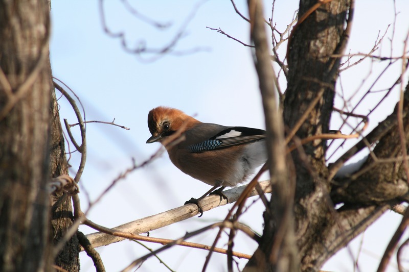 ファイル 136-3.jpg