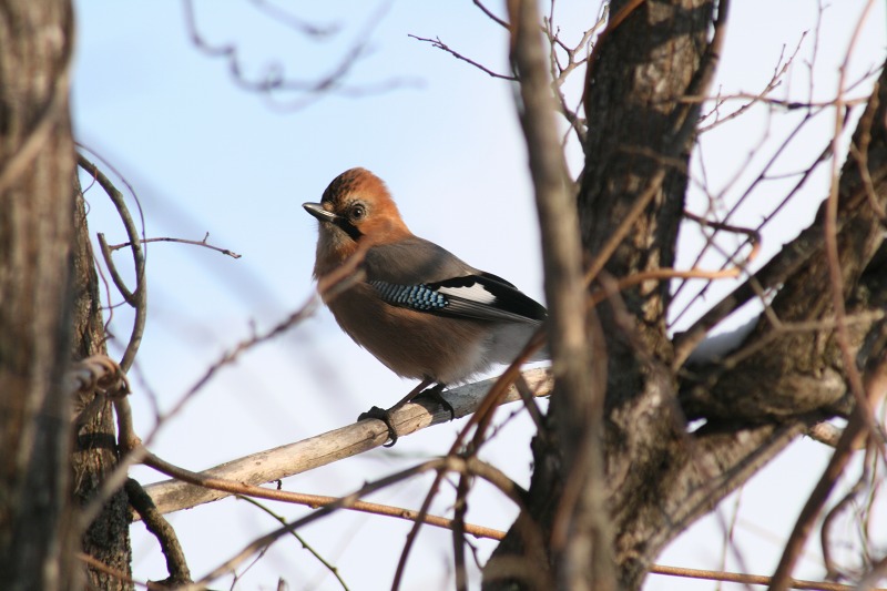 ファイル 136-4.jpg