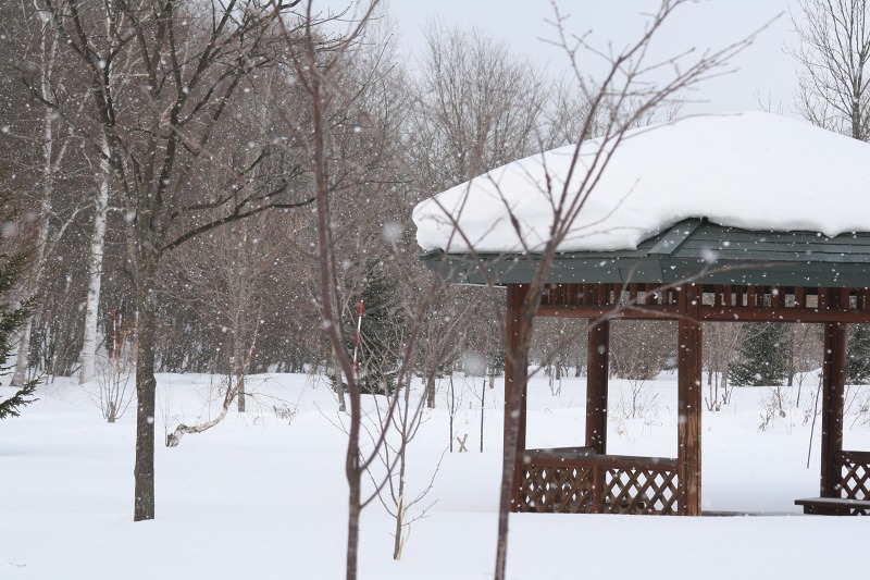 ファイル 136-5.jpg