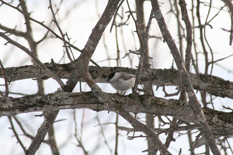 ファイル 137-4.jpg