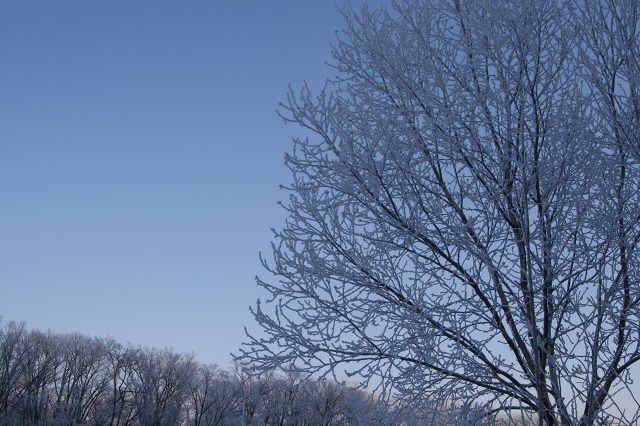 ファイル 138-1.jpg