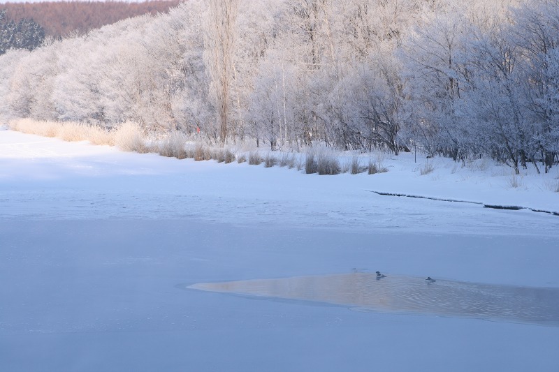 ファイル 138-2.jpg