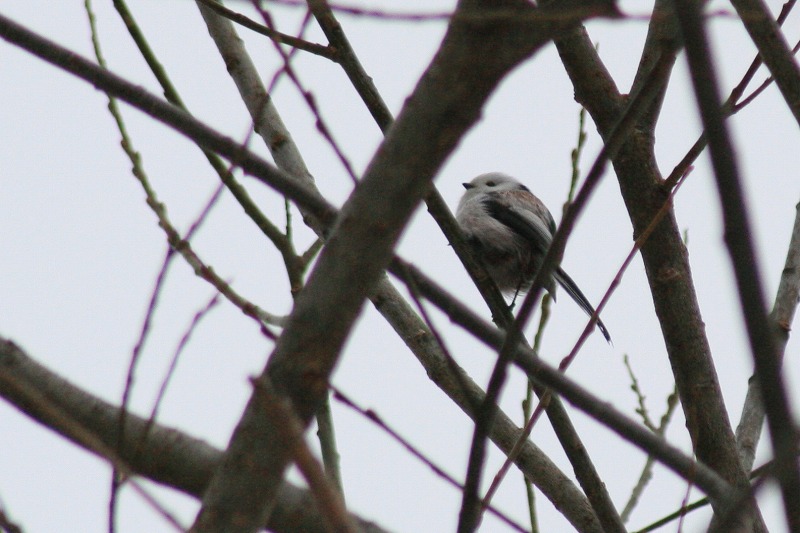 ファイル 141-1.jpg