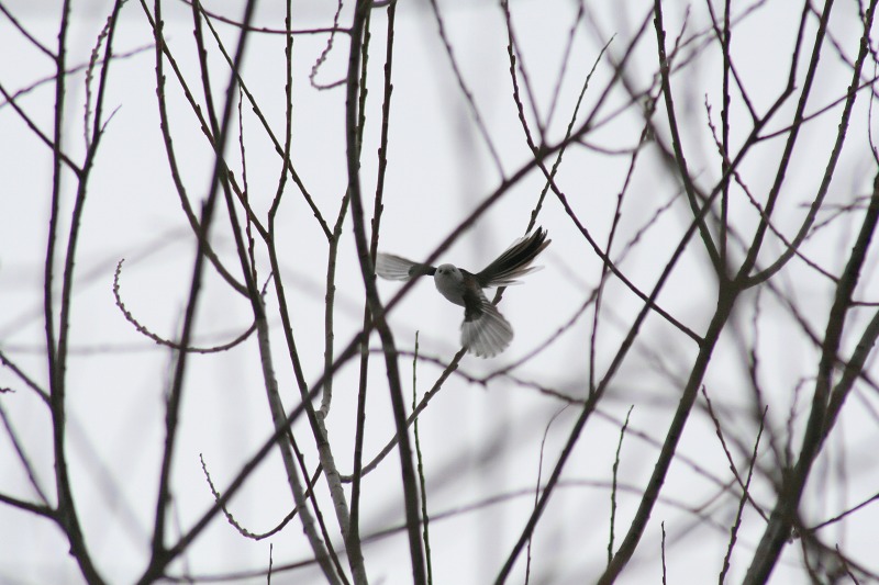 ファイル 141-2.jpg