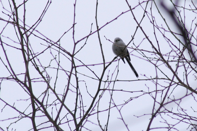 ファイル 141-3.jpg