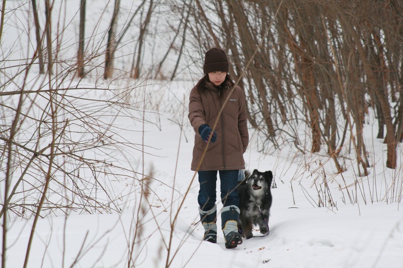 ファイル 142-1.jpg