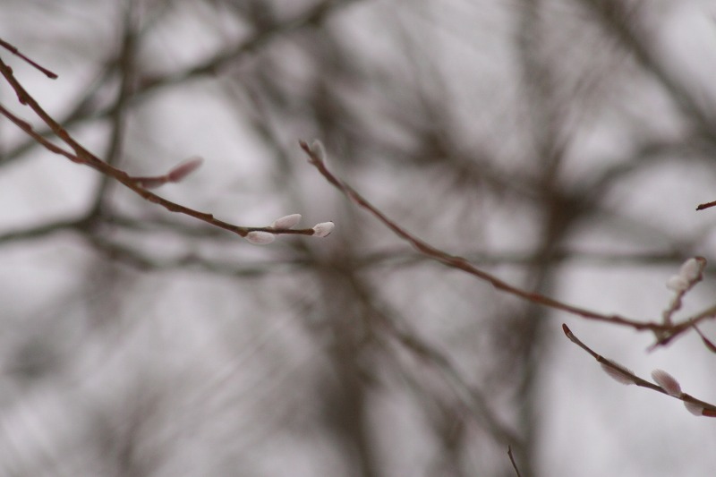 ファイル 142-3.jpg