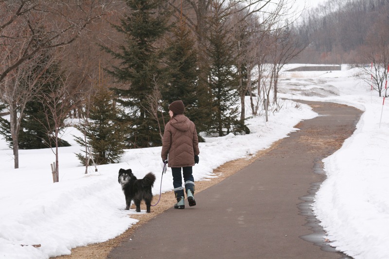 ファイル 144-2.jpg