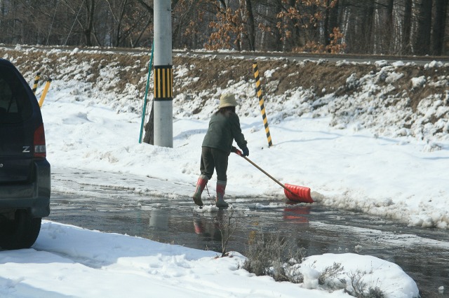 ファイル 146-1.jpg