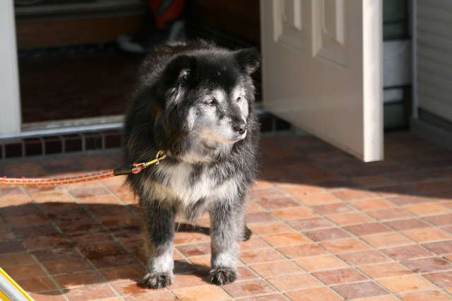 ファイル 146-3.jpg