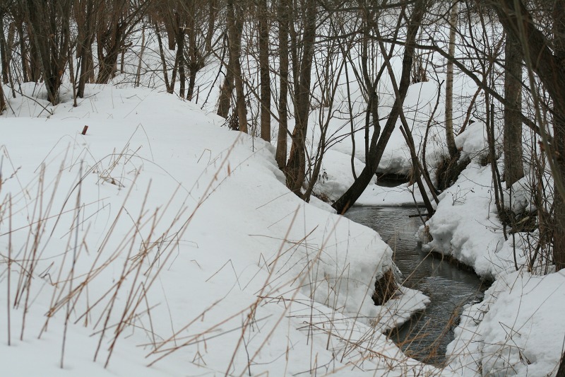 ファイル 147-1.jpg