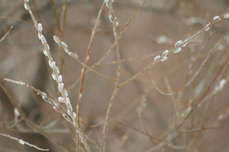 ファイル 147-2.jpg