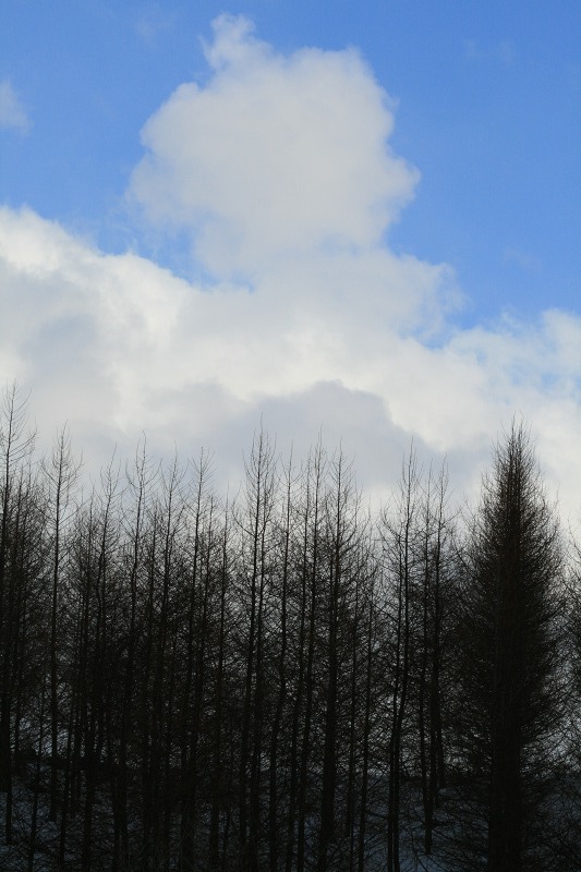 ファイル 147-3.jpg