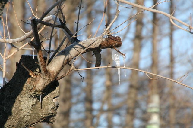 ファイル 148-1.jpg