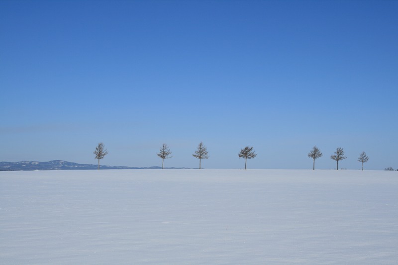 ファイル 148-2.jpg