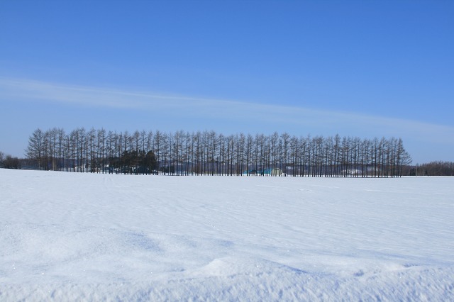 ファイル 149-1.jpg