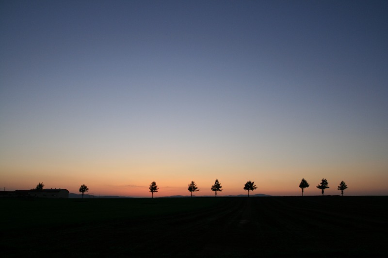 ファイル 15-2.jpg