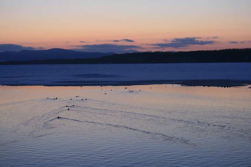 ファイル 151-2.jpg