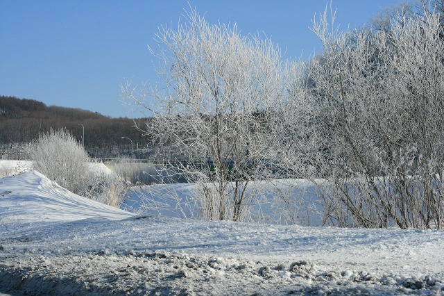 ファイル 152-2.jpg