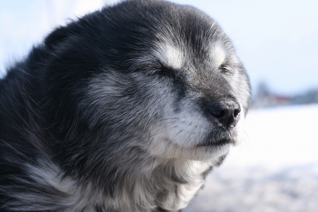 ファイル 153-2.jpg