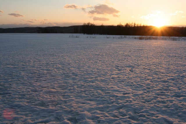 ファイル 154-2.jpg