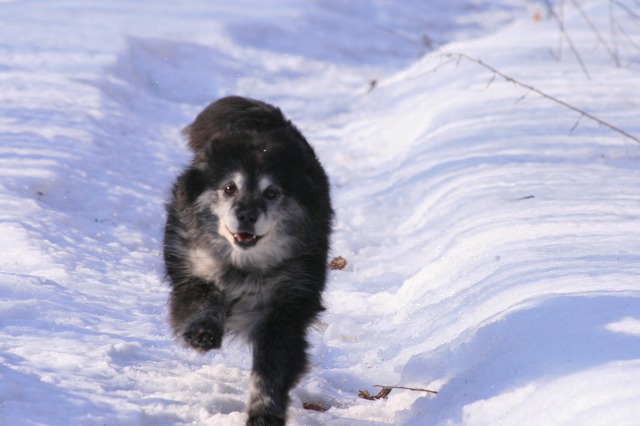 ファイル 154-5.jpg