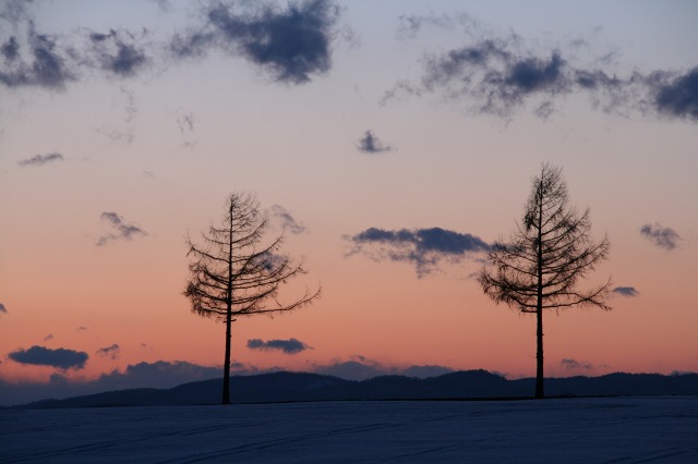 ファイル 156-1.jpg