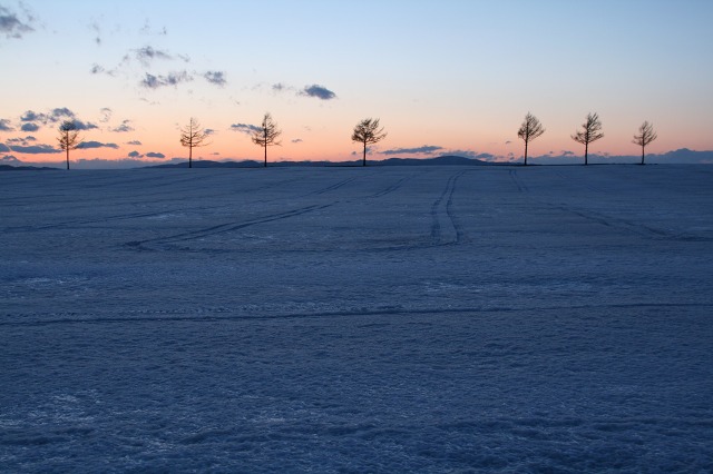 ファイル 156-2.jpg