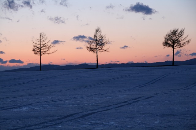 ファイル 156-3.jpg