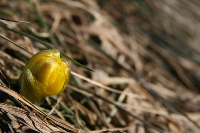 ファイル 157-2.jpg