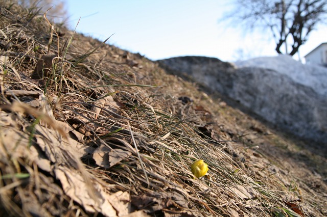 ファイル 157-3.jpg