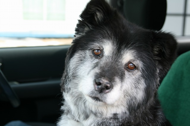 ファイル 158-1.jpg