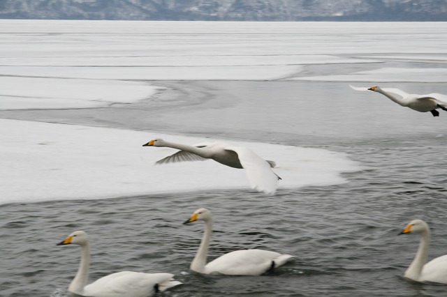 ファイル 159-4.jpg