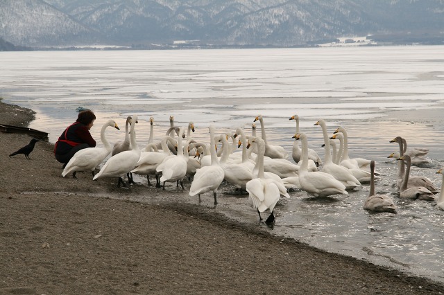 ファイル 159-5.jpg