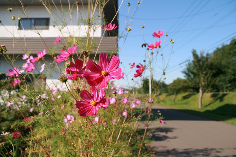 ファイル 16-2.jpg