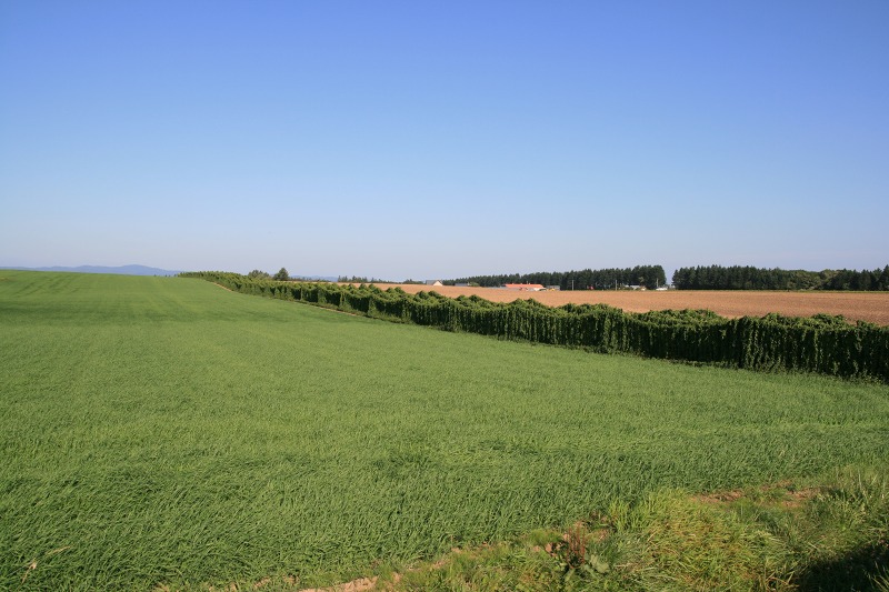 ファイル 16-3.jpg