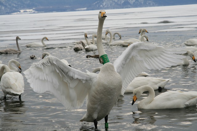 ファイル 160-3.jpg