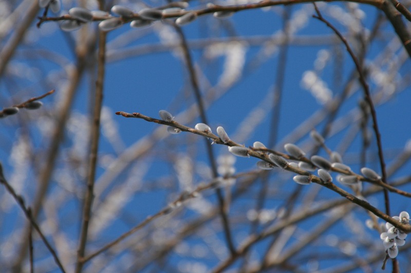 ファイル 161-2.jpg