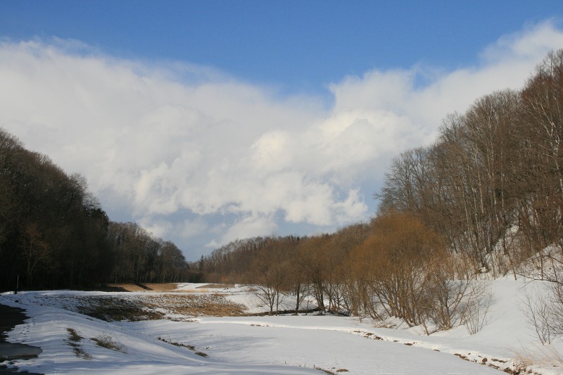 ファイル 161-3.jpg