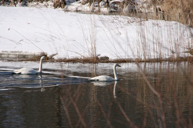 ファイル 162-3.jpg