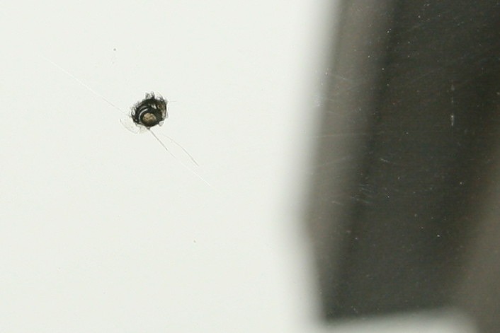 ファイル 163-1.jpg