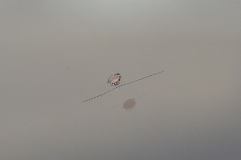 ファイル 163-2.jpg