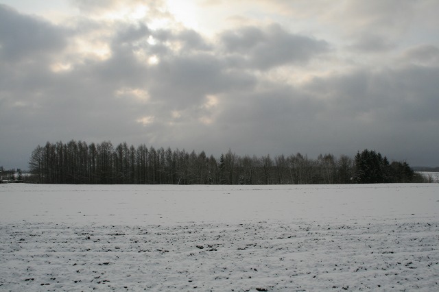 ファイル 164-1.jpg