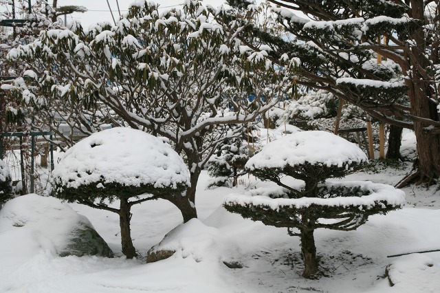 ファイル 164-3.jpg