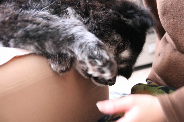 ファイル 165-2.jpg