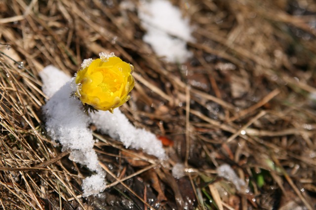 ファイル 166-1.jpg